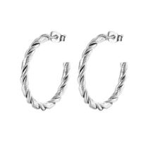Mode Einfarbig Rostfreier Stahl Überzug Ohrringe 1 Paar sku image 1