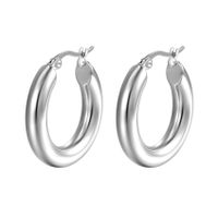 Simple Style Solid Color Stainless Steel Plating Earrings 1 Pair sku image 1