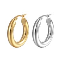 Simple Style Solid Color Stainless Steel Plating Earrings 1 Pair main image 1