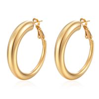 1 Paar Mode Einfarbig Überzug Rostfreier Stahl Vergoldet Ohrringe sku image 43