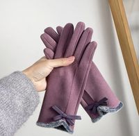 Frau Einfacher Stil Einfarbig Samt Polyester Handschuhe 1 Paar sku image 2