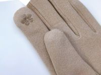 Frau Einfacher Stil Einfarbig Samt Polyester Handschuhe 1 Paar main image 2