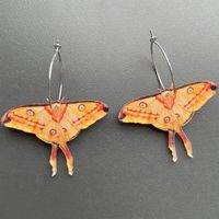 Fashion Butterfly Arylic Alloy Women's Earrings 1 Pair main image 4