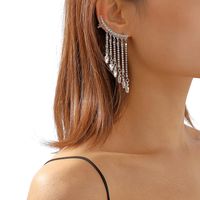 Simple Style Tassel Alloy Inlay Rhinestones Women's Drop Earrings 1 Pair main image 4