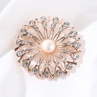 Fashion Flamingo Butterfly Shell Alloy Inlay Artificial Diamond Women's Brooches main image 2
