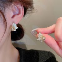 Rétro Flocon De Neige Le Cuivre Incruster Zircon Des Boucles D'oreilles 1 Paire main image 4