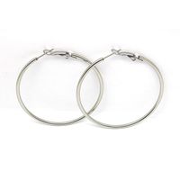 1 Pair Simple Style Geometric Plating Stainless Steel Earrings sku image 1