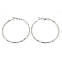 1 Pair Simple Style Geometric Plating Stainless Steel Earrings main image 4