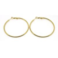 1 Pair Simple Style Geometric Plating Stainless Steel Earrings main image 3