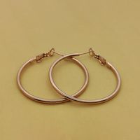 1 Pair Simple Style Geometric Plating Stainless Steel Earrings sku image 9