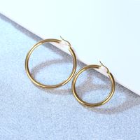 Simple Style Geometric Stainless Steel Plating Earrings 1 Pair main image 5