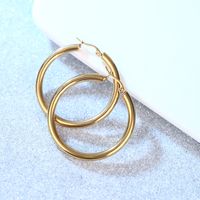 Simple Style Geometric Stainless Steel Plating Earrings 1 Pair main image 3