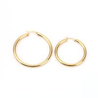 Simple Style Geometric Stainless Steel Plating Earrings 1 Pair main image 2