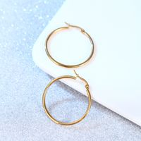 Simple Style Circle Stainless Steel Plating Earrings 1 Pair main image 2