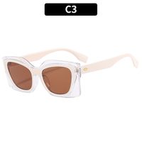 Fashion Solid Color Ac Cat Eye Full Frame Women's Sunglasses sku image 3