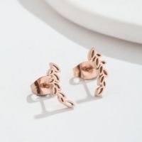 Fashion Leaves Stainless Steel Plating Hollow Out Ear Studs 1 Pair main image 5