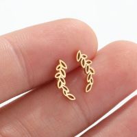 Fashion Leaves Stainless Steel Plating Hollow Out Ear Studs 1 Pair main image 1