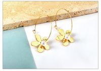 Fashion Heart Shape Flower Stainless Steel Plating Drop Earrings 1 Pair main image 7