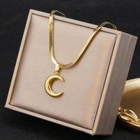 Style Simple Lune Acier Au Titane Placage Pendentif 1 Pièce main image 5