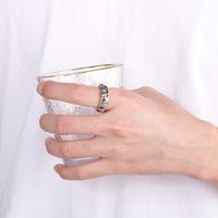 Fashion Solid Color Stainless Steel Rings 1 Piece main image 10