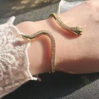 Retro Snake Copper Gold Plated Inlay Zircon Women's Rings Bracelets main image 6