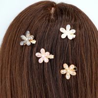 Women's Sweet Flower Alloy Inlay Glass Hair Clip main image 2