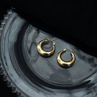 Mode Einfarbig Titan Stahl Reif Ohrringe 1 Paar sku image 2