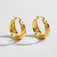 Fashion Solid Color Stainless Steel Plating Hoop Earrings 1 Pair main image 1