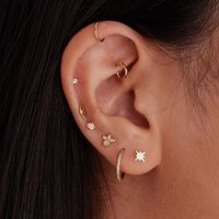 Fashion Square Water Droplets Paw Print Silver Inlay Zircon Ear Studs 1 Piece main image 3