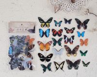 Cute Beautiful Butterfly Special-shaped Pet Sticker Notebook Diy Decorative Stickers 8 Types 40 Pieces sku image 2