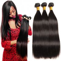 Women's Fashion Casual Chemical Fiber Long Straight Hair Wigs sku image 1