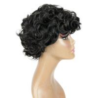 Women's Fashion Casual High Temperature Wire Bangs Short Curly Hair Wigs main image 5
