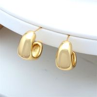 Fashion Irregular Copper Gold Plated Ear Studs 1 Pair main image 8