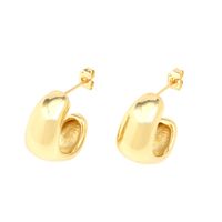 Fashion Irregular Copper Gold Plated Ear Studs 1 Pair main image 5