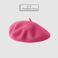 Women's Simple Style Solid Color Beret Hat sku image 18