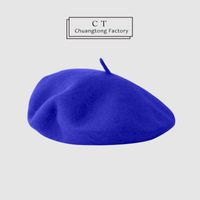 Women's Simple Style Solid Color Beret Hat sku image 22