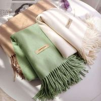 Unisex Fashion Solid Color Imitation Cashmere Tassel Winter Scarves main image 1