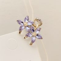 Pinzas Para El Pelo De Diamantes De Imitación De Aleación De Flores De Estilo Simple 1 Pieza sku image 9