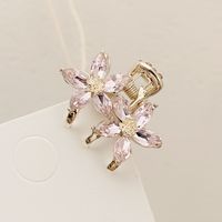 Pinzas Para El Pelo De Diamantes De Imitación De Aleación De Flores De Estilo Simple 1 Pieza sku image 6