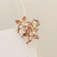 Pinzas Para El Pelo De Diamantes De Imitación De Aleación De Flores De Estilo Simple 1 Pieza sku image 7