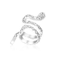 Wholesale Jewelry Fashion C Shape Metal Plating Ear Clips sku image 29