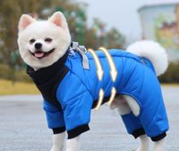 Fashion Polyester Solid Color Pet Clothing 1 Piece main image 2