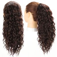 Women's Fashion Casual High Temperature Wire Ponytail Wigs main image 4