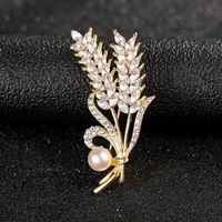 Fashion Flower Alloy Plating Inlay Artificial Gemstones Pearl Women's Brooches sku image 57