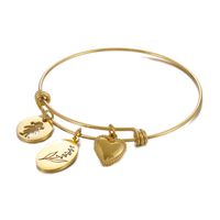 Simple Style Heart Shape Flower Titanium Steel Plating Hollow Out Bangle 1 Piece sku image 17