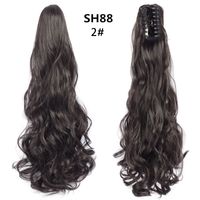 Women's Sweet Daily High Temperature Wire Long Curly Hair Wigs sku image 2