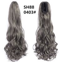Women's Sweet Daily High Temperature Wire Long Curly Hair Wigs sku image 22