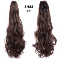 Women's Sweet Daily High Temperature Wire Long Curly Hair Wigs sku image 3