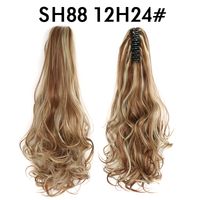 Women's Sweet Daily High Temperature Wire Long Curly Hair Wigs sku image 11