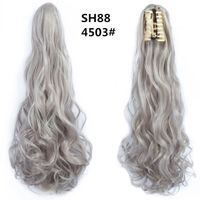 Women's Sweet Daily High Temperature Wire Long Curly Hair Wigs sku image 27